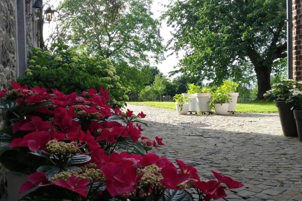 Country House Clos Des Hortensias Blegny Exteriér fotografie
